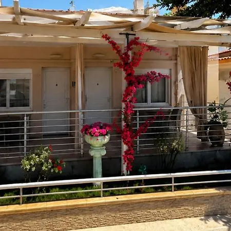 Apartament The Garden