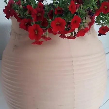 The Garden * Nea Kallikrateia